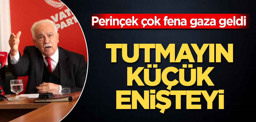 Tutmayın küçük enişteyi! Doğu Perinçek fena gaza geldi