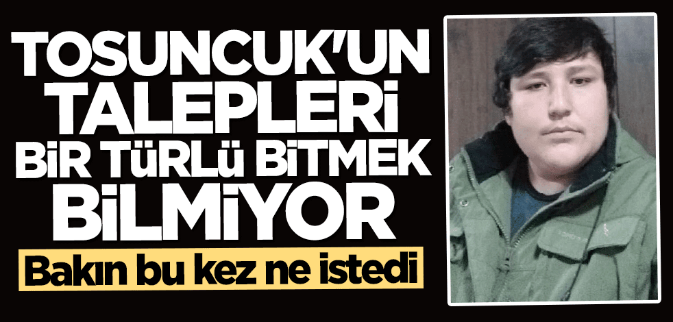 Tutuklanmama garantisi isteyen "Tosuncuk" Mehmet Aydın'dan yeni talep