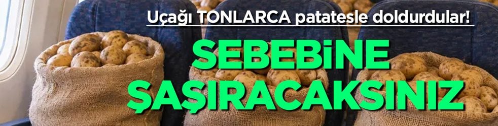  Uçak yolculuğunda yerine tonlarca patates yerleştirdiler! Hiç kimse bilmiyordu