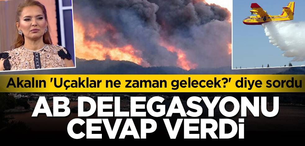 'Uçaklar ne zaman gelecek?' diyen Akalın'a AB Türkiye Delegasyonu'ndan cevap