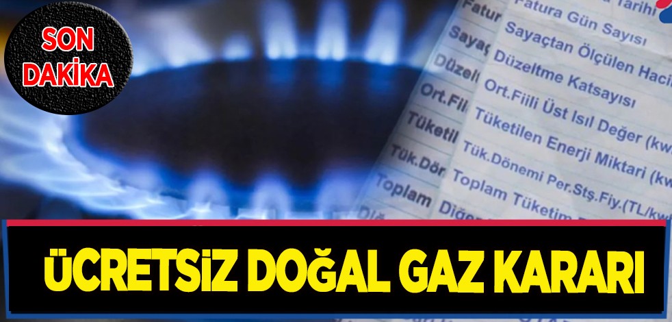 Ücretsiz doğal gaz kararı son dakika: Gaz kullanımına ilişkin karar Resmi Gazete'de yayımlandı
