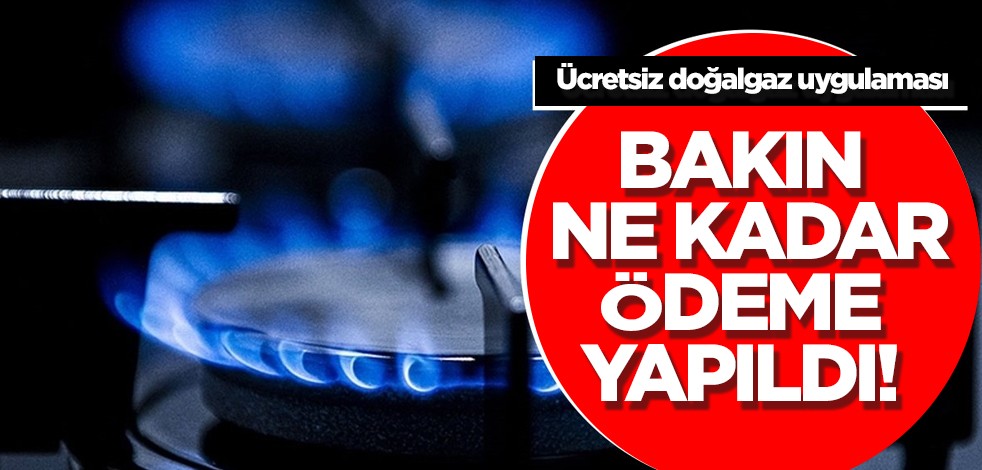 Ücretsiz doğalgaz için: 5 milyar 195 milyon liralık ödeme yapıldı! Oluşan maliyet için uygulamaya devam ediliyor