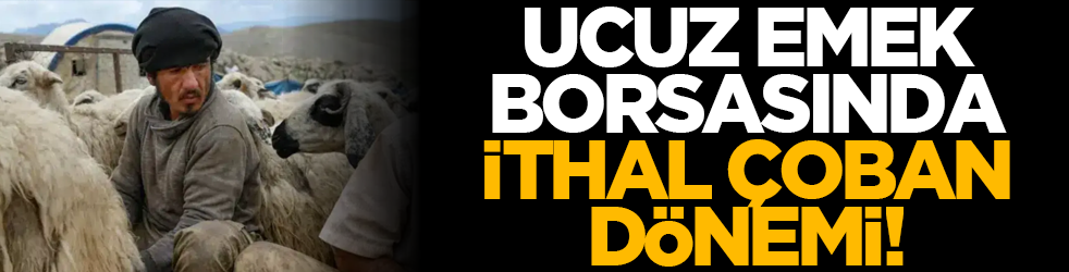 Ucuz emek borsasında ithal çoban dönemi!