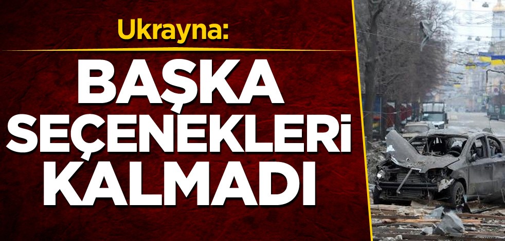Ukrayna: Başka seçenekleri kalmadı
