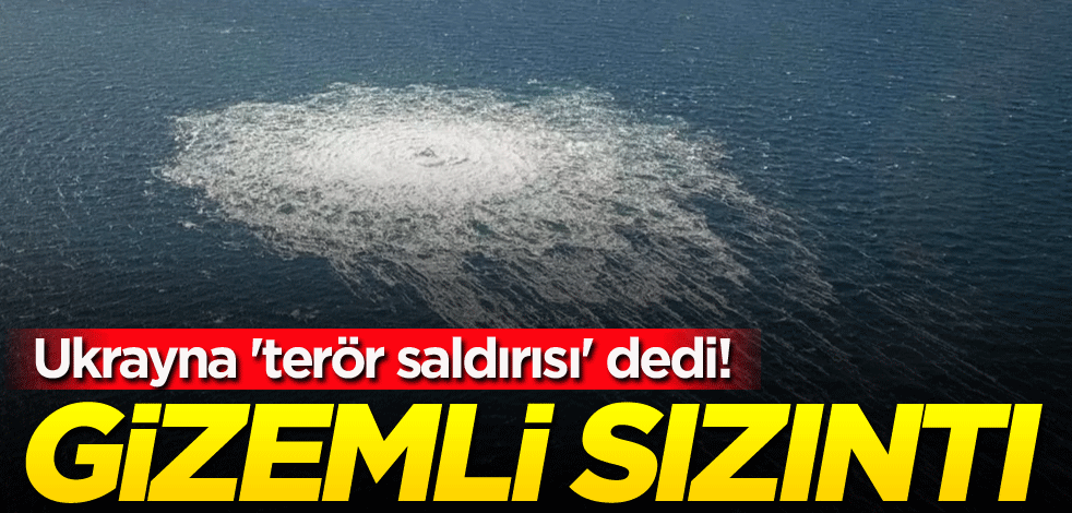 Ukrayna 'terör saldırısı' dedi! Gizemli sızıntı
