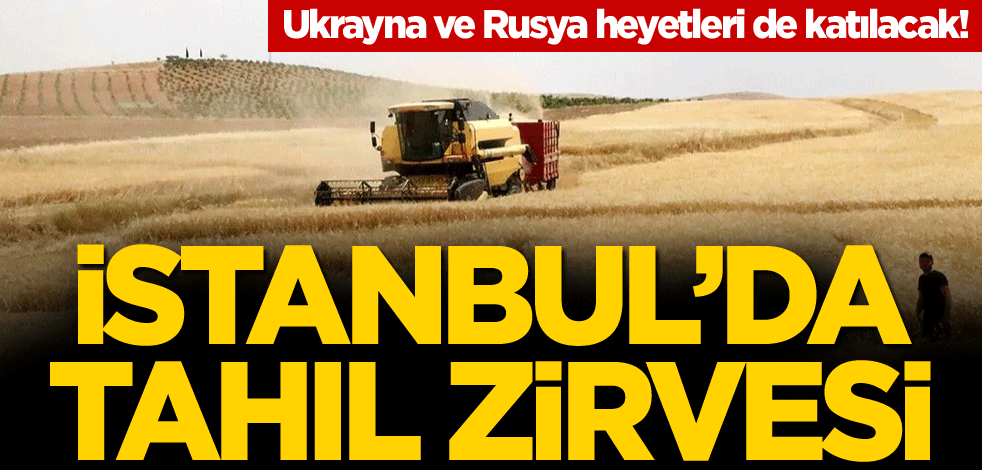 Ukrayna ve Rusya heyetleri de katılacak! İstanbul'da tahıl zirvesi