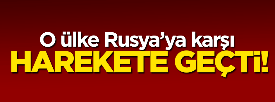 Ukrayna'da hükümete tam destek!