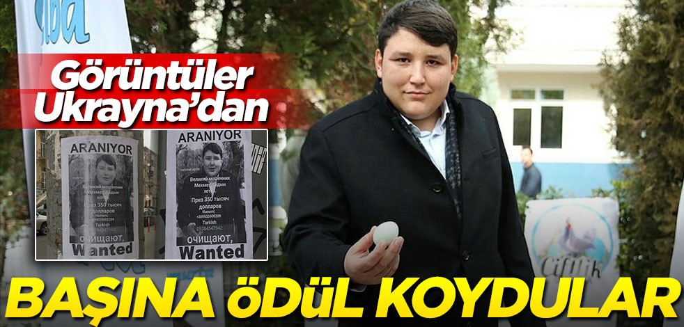 Ukrayna'da 'tosuncuk'un başına ödül koydular!