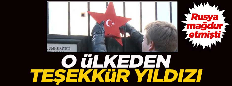 Ukrayna'da Türkiye'ye teşekkür yıldızı