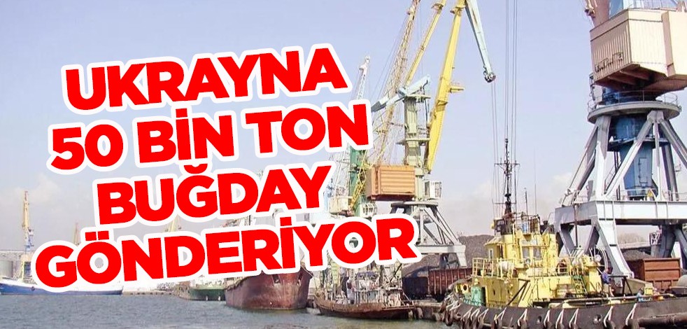 Ukrayna'dan gelen buğday gemisi: Etiyopya ve Somali'ye 50 bin ton buğday gönderiyor!