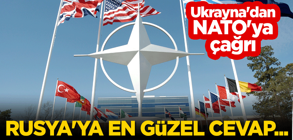 Ukrayna'dan NATO'ya çağrı: Rusya'ya en güzel cevap...