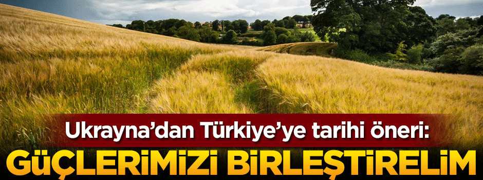 Ukrayna'dan Türkiye'ye tarihi öneri: Güçlerimizi birleştirelim