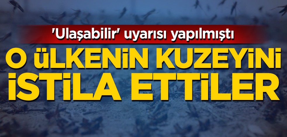 'Ulaşabilir' uyarısı yapılmıştı! O ülkenin kuzeyini istila ettiler
