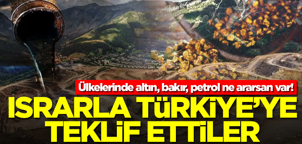 Ülkelerinde altın, elmas, bakır, petrol ne ararsan var! Israrla Türkiye'ye teklif ettiler