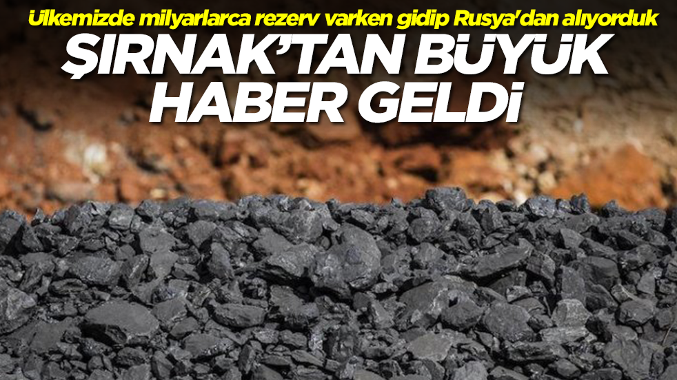 Ülkemizde milyarlarca rezerv varken gidip Rusya'dan satın alıyorduk: Şırnak'tan büyük haber geldi
