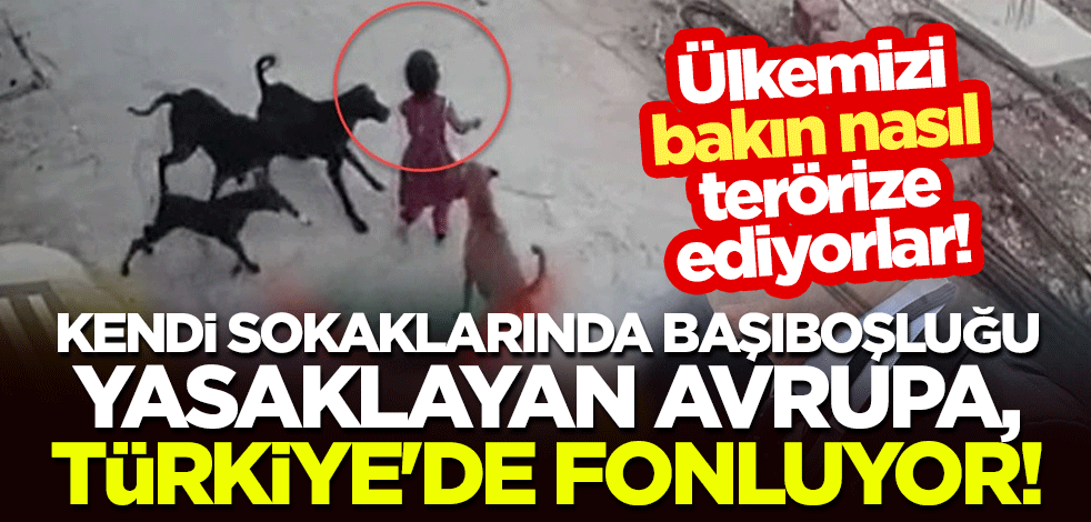 Ülkemizi bakın nasıl terörize ediyorlar! Kendi sokaklarında başıboşluğu yasaklayan Avrupa, Türkiye'de fonluyor!