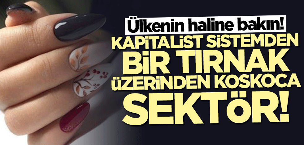 Ülkenin haline bakın! Kapitalist sistemden bir tırnak üzerinden koskoca sektör