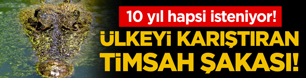 Ülkeyi karıştıran timsah şakası: 10 yıl hapis cezası isteniyor!