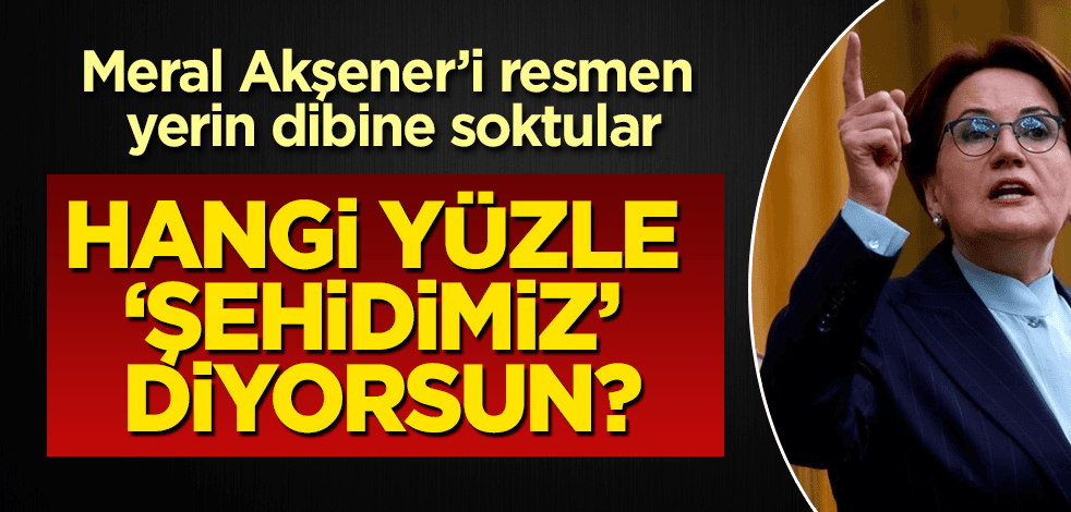 Ülkü Ocakları'ndan Akşener'e çok sert tepki: Hangi yüzle...