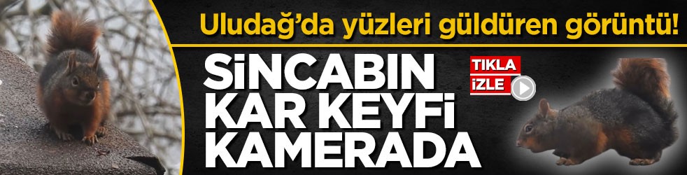 Uludağ’da yüzleri güldüren görüntü! Sincabın kar keyfi kamerada