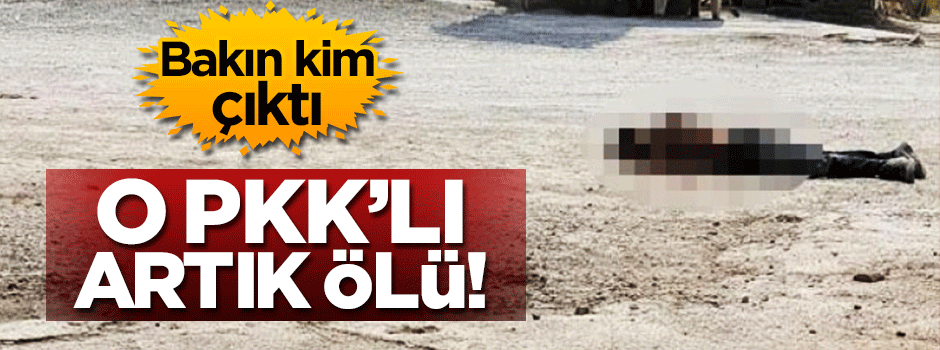Uludere'de eyleme gelen PKK'lı terörist öldürüldü