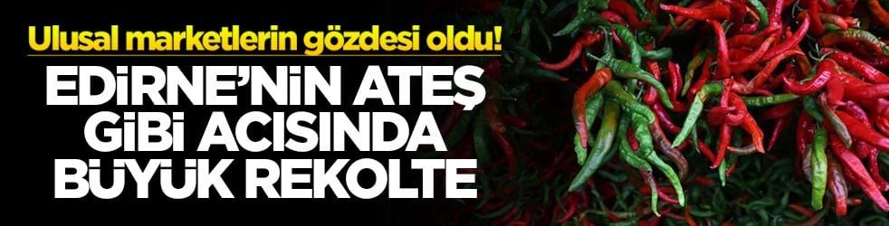 Ulusal marketlerin gözdesi oldu! Edirne’nin ateş gibi acısında büyük rekolte