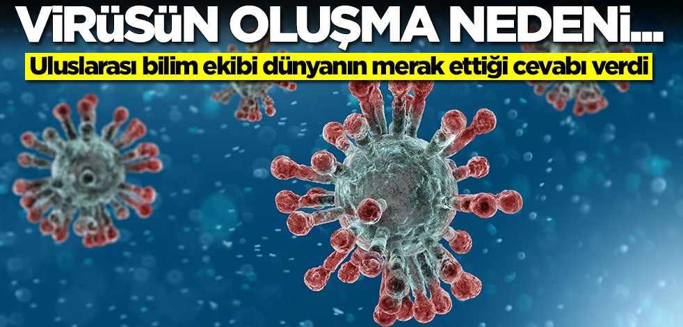Uluslararası bilim ekibi açıkladı: Koronavirüsün oluşma nedeni...