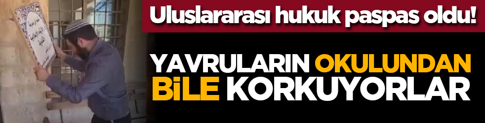 Uluslararası hukuk paspas oldu! Yavruların okulundan bile korkuyorlar