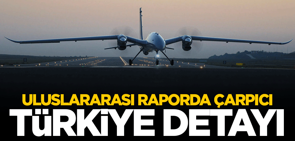 Uluslararası raporda çarpıcı Türkiye detayı