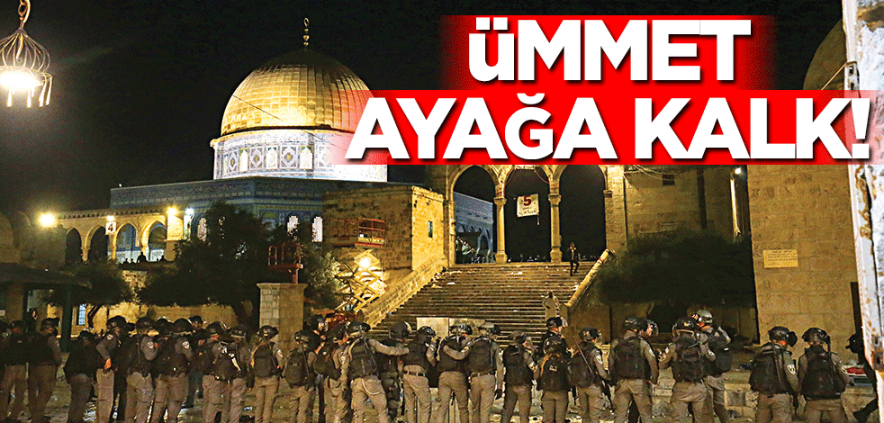 Ümmet ayağa kalk