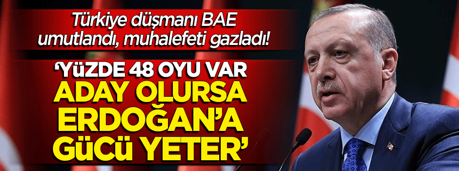 Umutlanan BAE muhalefete gaz verdi! "Aday olursa Erdoğan'ı hezimete uğratır"