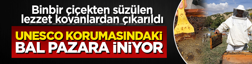  Unesco korumasındaki bal pazara iniyor! Binbir çiçekten süzülen Lezzet kovanlardan çıkarıldı
