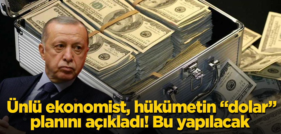 Ünlü ekonomist, hükümetin "dolar" planını açıkladı! Bu yapılacak