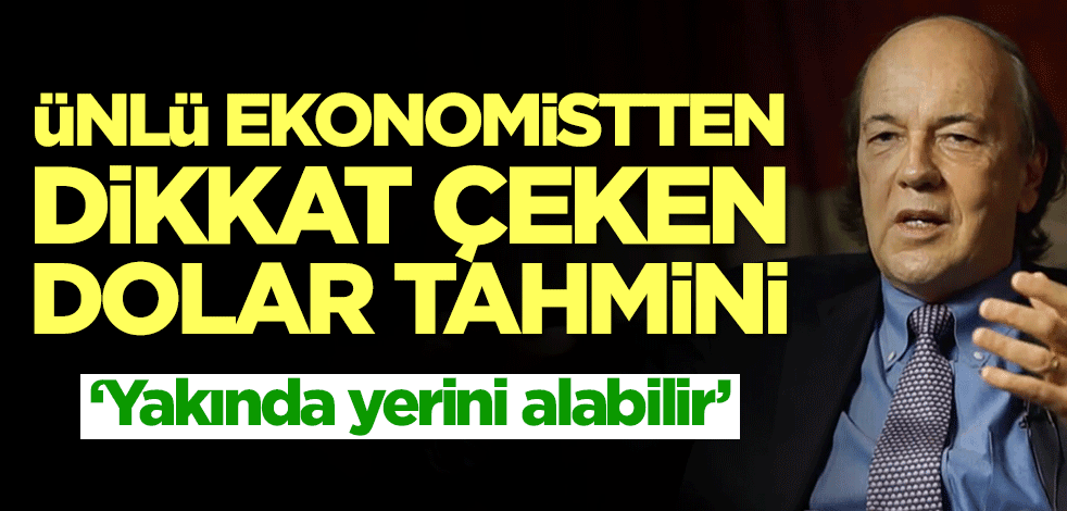 Ünlü ekonomistten dikkat çeken dolar tahmini: Yerini alabilir