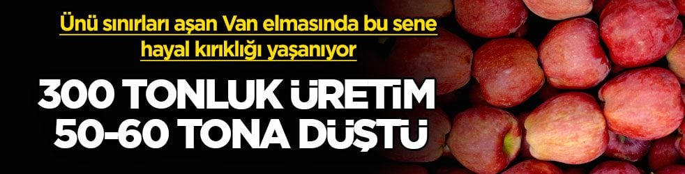 Ünü sınırları aşan Van elmasında bu sene hayal kırıklığı yaşanıyor! 300 tonluk üretim 50-60 tona düştü