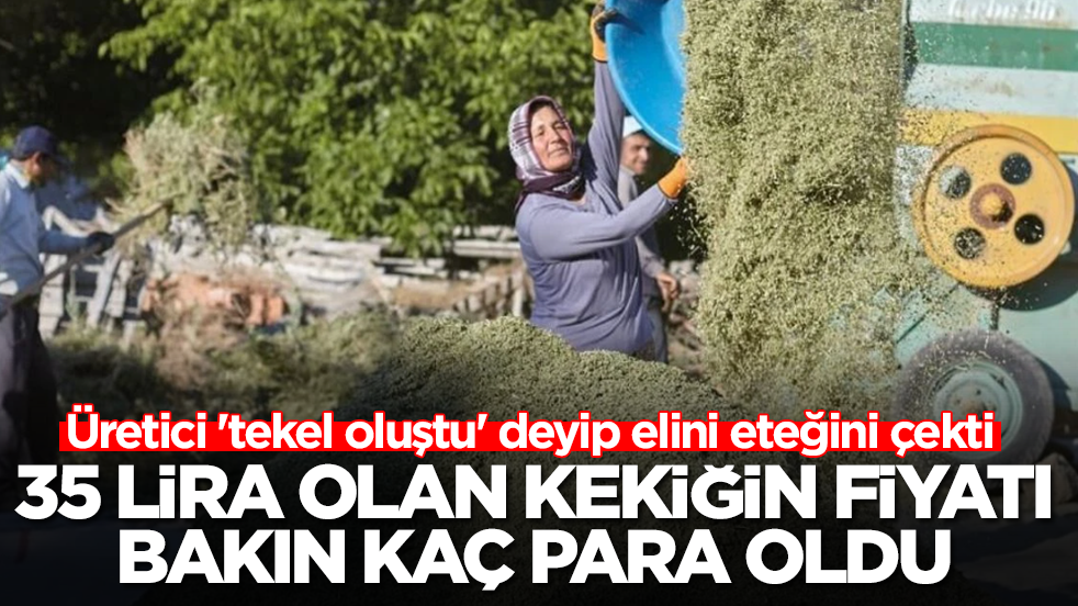 Üretici 'tekel oluştu' deyip elini eteğini çekti: 35 lira olan kekiğin kilosu bakın kaç para oldu
