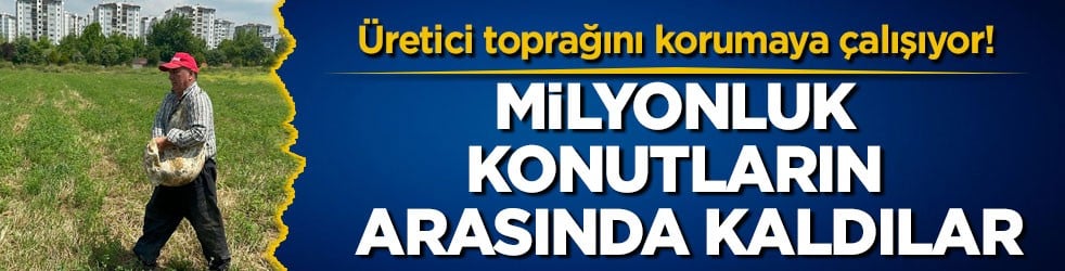 Üretici toprağını korumaya çalışıyor! Milyonluk konutların arasında kaldılar