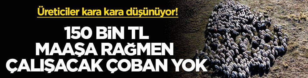 Üreticiler kara kara düşünüyor! 150 bin TL maaşa rağmen çalışacak çoban yok