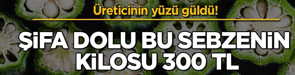 Üreticinin yüzü güldü! Şifa dolu bu sebzenin kilosu 300 TL