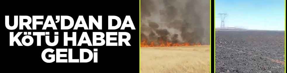 Urfa'dan da kötü haber geldi