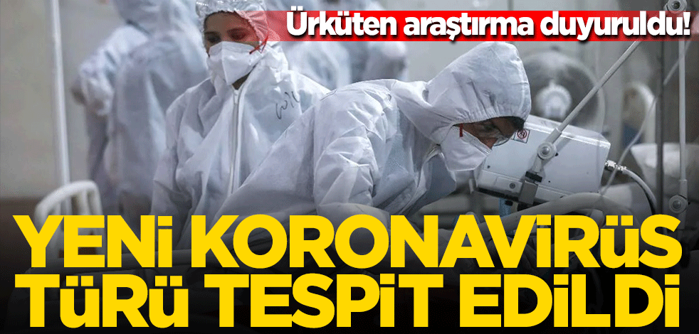 Ürküten araştırma! Köpeklerden insana geçen yeni koronavirüs türü tespit edildi