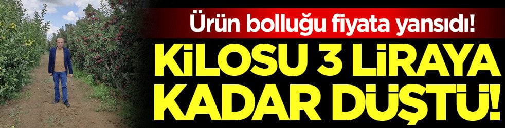 Ürün bolluğu fiyata yansıdı: Kilogramı 3 liraya kadar düştü!