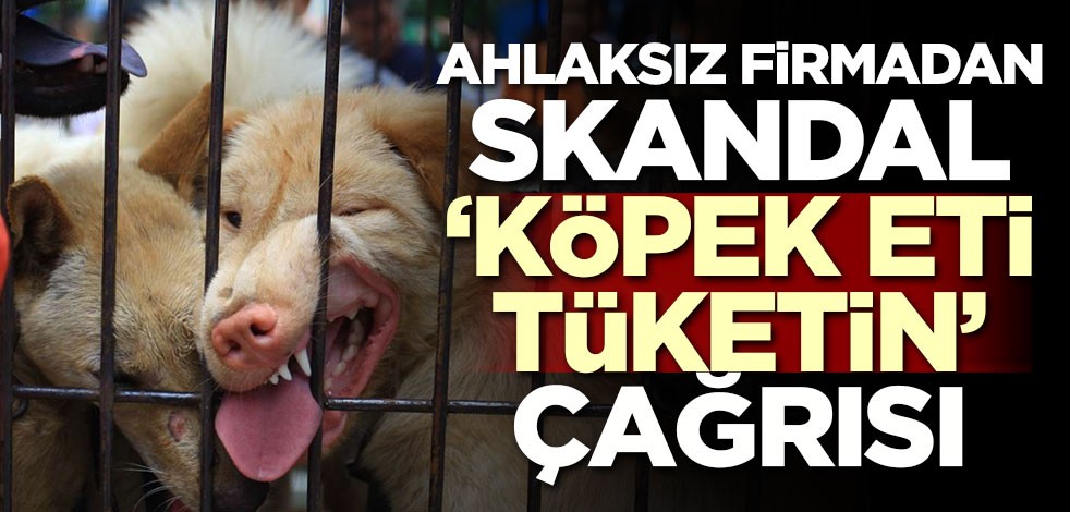 Ürünleri tüyler ürperten firmadan mide bulandıran çağrı: Köpek eti tüketin
