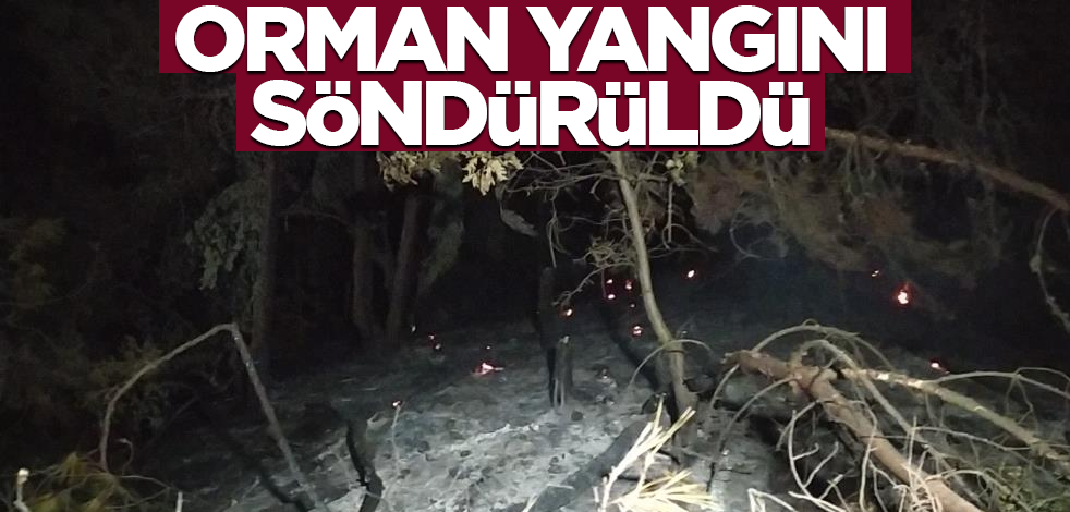 Uşak'taki orman yangını söndürüldü