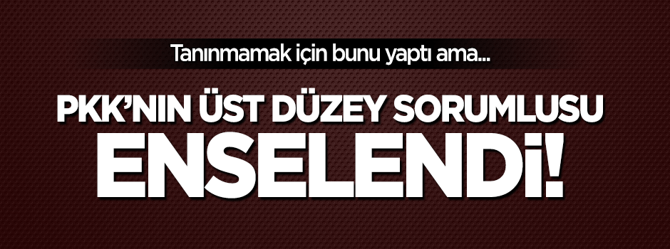 Üst düzey PKK'lı operasyonla yakalandı!