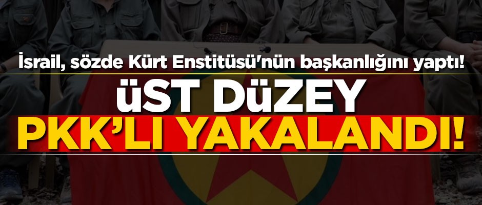 Üst düzey PKK'lı yakalandı!