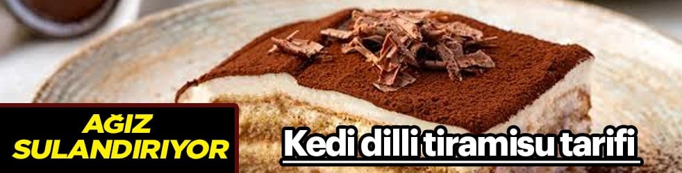 Usta şefler yapmayı ısrarla öneriyor... 'Kedi dilli tiramisu' tarifi: Yapmak istiyorsanız vereceğimiz detayın peşine düşün