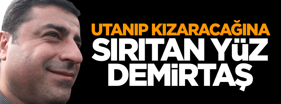 Utanıp kızaracağına sırıtan yüz Demirtaş