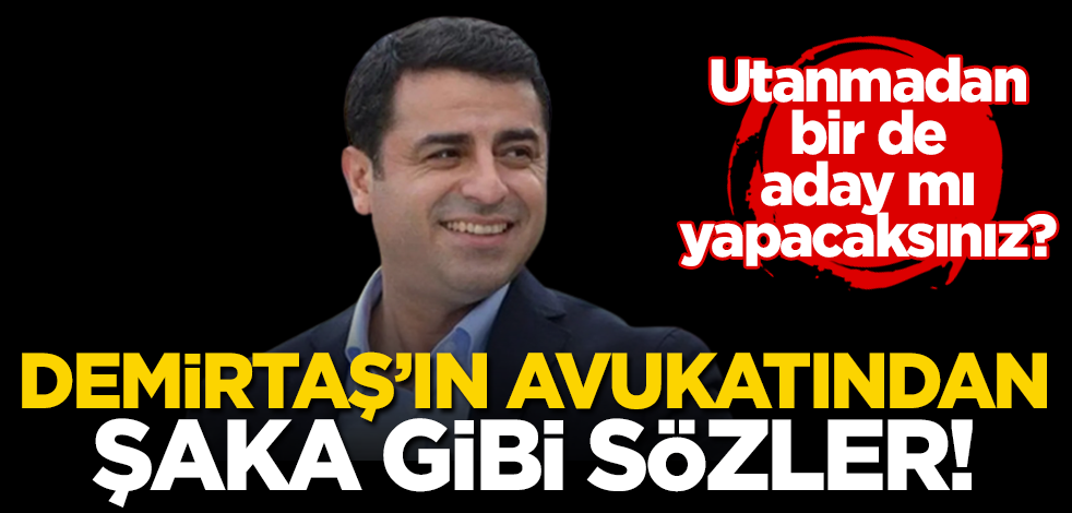 Utanmadan bir de aday mı yapacaksınız? Demirtaş’ın avukatından şaka gibi sözler