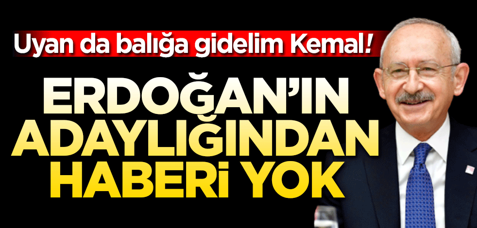 Uyan da balığa gidelim Kemal! Erdoğan’ın adaylığından haberi yok